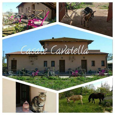 Bed and Breakfast Casale Cavatella Сермонета Экстерьер фото